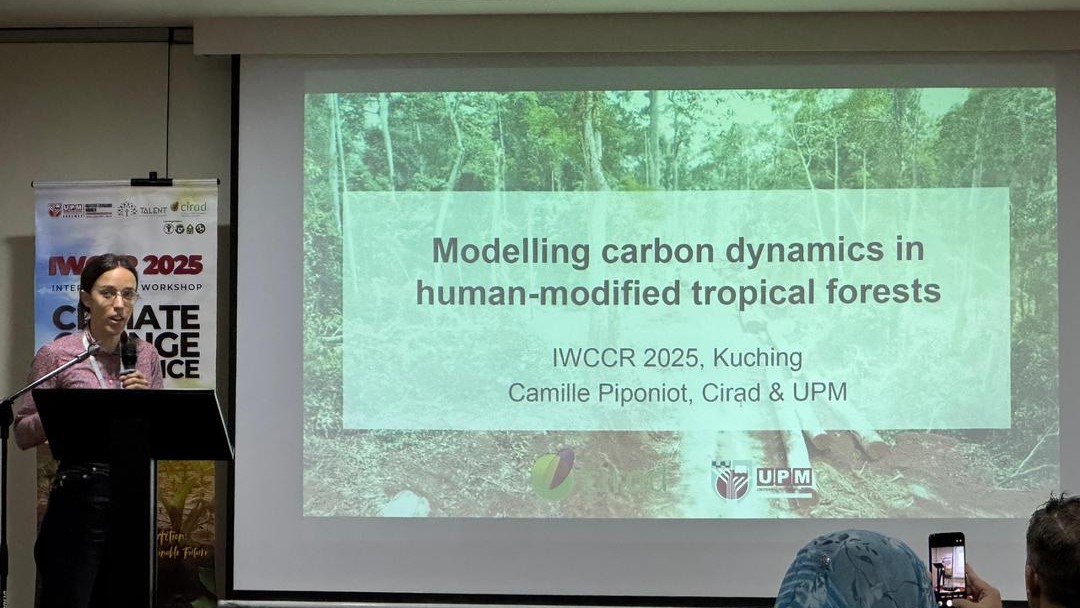 International Workshop on Climate Change Resilience (IWCCR) 2025